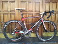 foto de Vendo jamis team sutter home 54