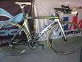 foto de felt b16