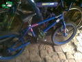 foto de Vendo bmx mammoth dogs meat