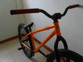 foto de Vendo  Dartmoor Quinnie