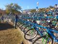 foto de El Plan TUBI en marcha se entregaron  mas de 800 bicis para los chicos