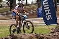 foto de  PALERMO SHORT TRACK SHIMANO