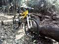 foto de Mi  Bike Colner Patagonia K6