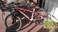 Vendo CORRATEC SUPERBOW RACE