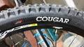 foto de Vendo HUTCHINSON cougar 26-2.0