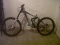 foto de Vendo cuadro giant glory 2011