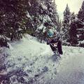 foto de snowbike