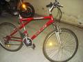 foto de Vendo bici todo terreno olmo safari