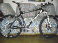 Vendo  FUJI SLM 1.0 CARBONO  2012
