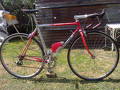 foto de Vendo Bici competicion cuadro Pinarello