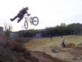 foto de tailwhip