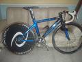 foto de Vendo cuadro GIANT PISTERA 2009