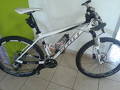 foto de SCOTT SCALE 50