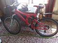 foto de Vendo rodas leelo mountain pro