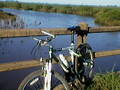 foto de Descanso en el puente