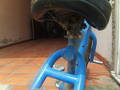foto de Vendo GT original de salto