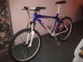 foto de Vendo Raleigh Mojave 4.5 - 2013