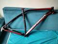 Vendo Cuadro Orbea Alma H60 29er talle L