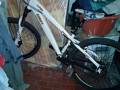 foto de Vendo  SkinRed Pro Army