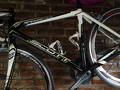 foto de Vendo Scott speedster LTD 