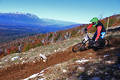 foto de race perito moreno