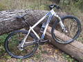 foto de Vendo Salsa Cycles, Mamasita 29er