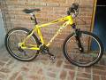 foto de Bici Robada en La Plata. Zenith Calea SPR amarilla  el 30-06-2014