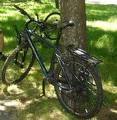 foto de Bici robada