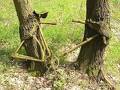 foto de impresionante conbinacion madera ,bici