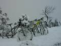 foto de Cerro otto, Bariloche a full descenso con nieve.