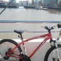 foto de Vendo Specialized hardrock sport 