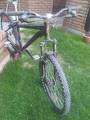 foto de Vendo Specialized s-works m5