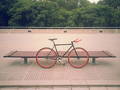 foto de Mi Fixie