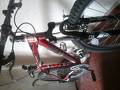 foto de Vendo fire berd 2013