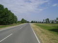 foto de Pedaleando a Villa Nougues bajando por San Javier