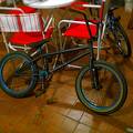 foto de REASON wethepeople 
