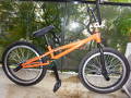 foto de Vendo Bike Flat cuadro corto 2013