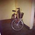 foto de BICICLETA GAMA MARRON/BORD ROBADA EN PALERMO