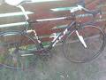 foto de Vendo fuji rubaix 2013