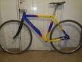 foto de Vendo pantani verona