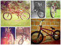 foto de Mi Yani♥