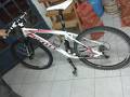 foto de Vendo scott aspect