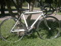 foto de Vendo PISTERA RODADO 20