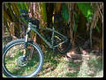 foto de En el velodromo !!