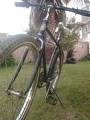 foto de Vendo Pinarello de paseo antigua