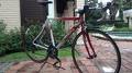 foto de Vendo Venzo Phoenix 