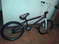 foto de Mi nueva BMX 