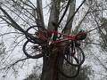 foto de las bicis voladoras