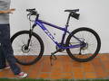 foto de FUJI Thaoe 27v 2010 ROBADA