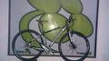 foto de Vendo COLNER 29ER